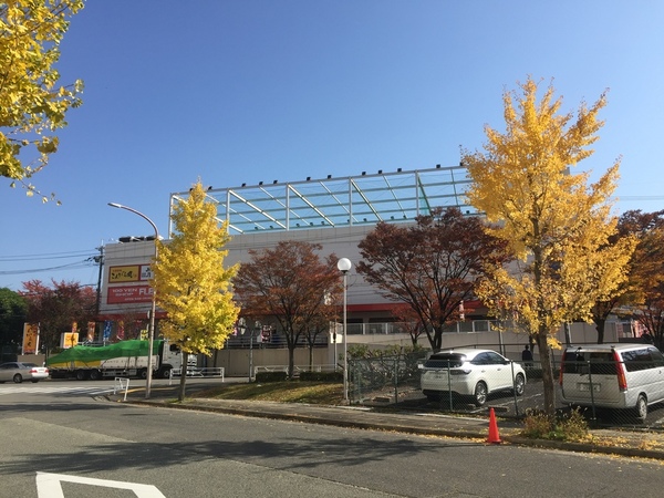 注文住宅工務店さつまホーム本社周辺が紅葉