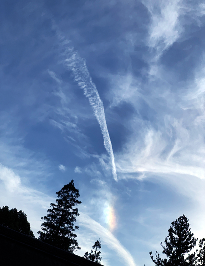 さつまホームスタッフブログ｜青空