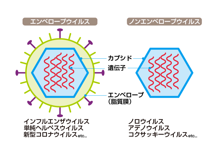 さつまホームスタッフブログ | ウイルス予防に効果的な手洗い方法06